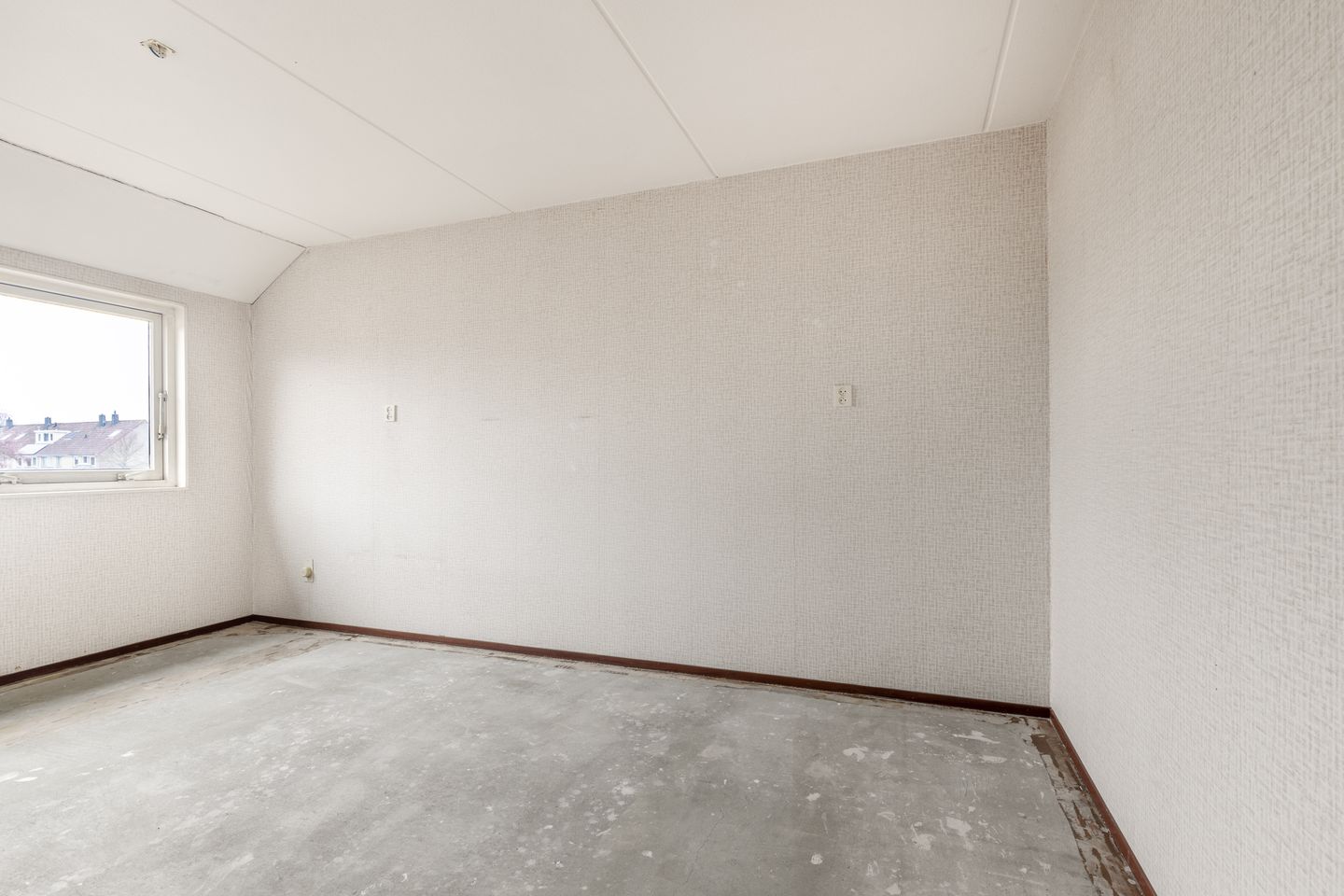 Photo 14 of Dinkel 13