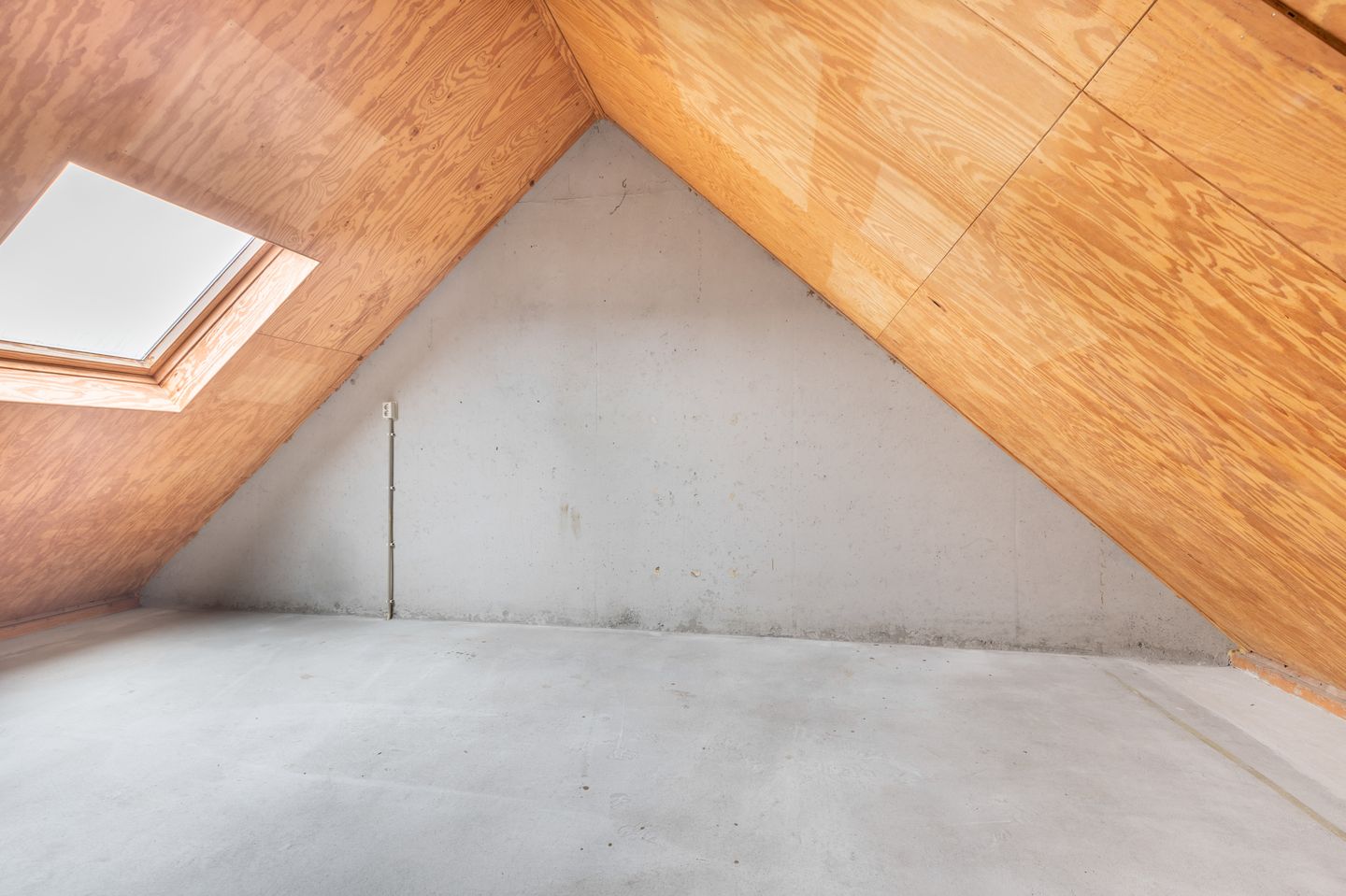 Photo 20 of Dinkel 13