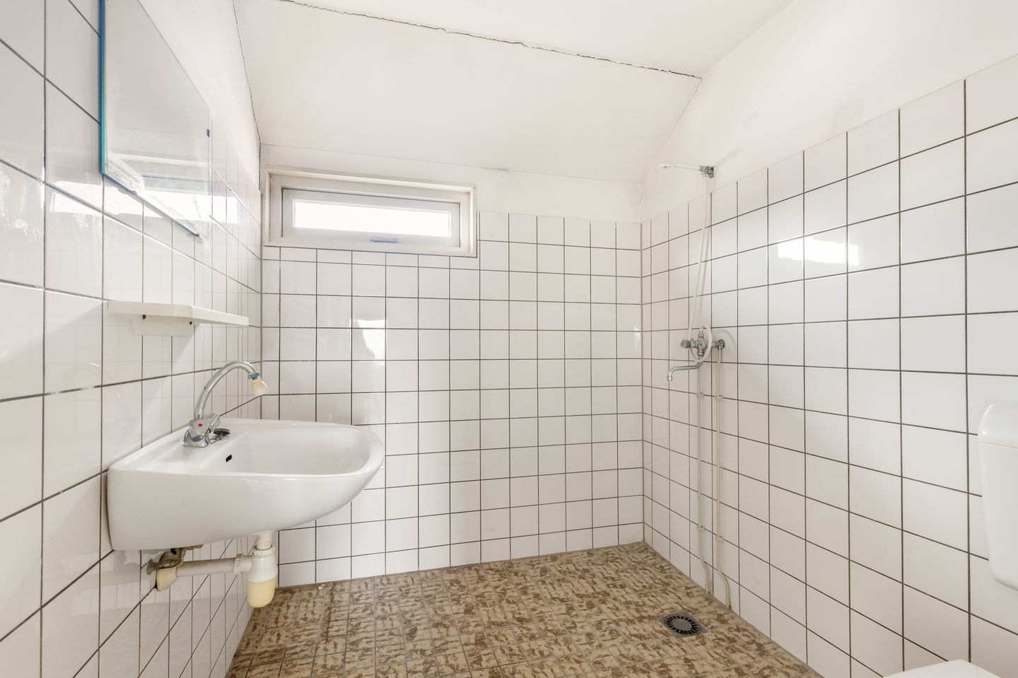 Photo 19 of Dinkel 13