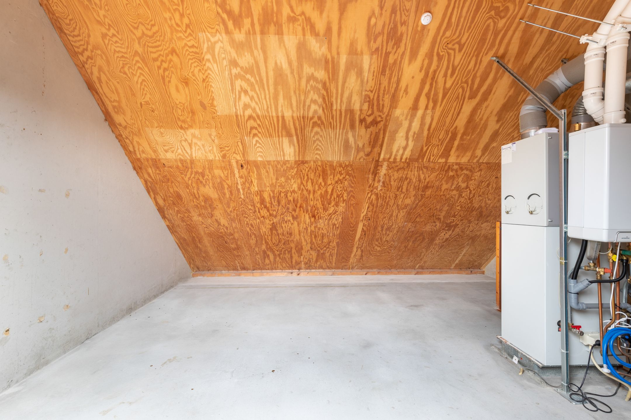 Photo 21 of Dinkel 13