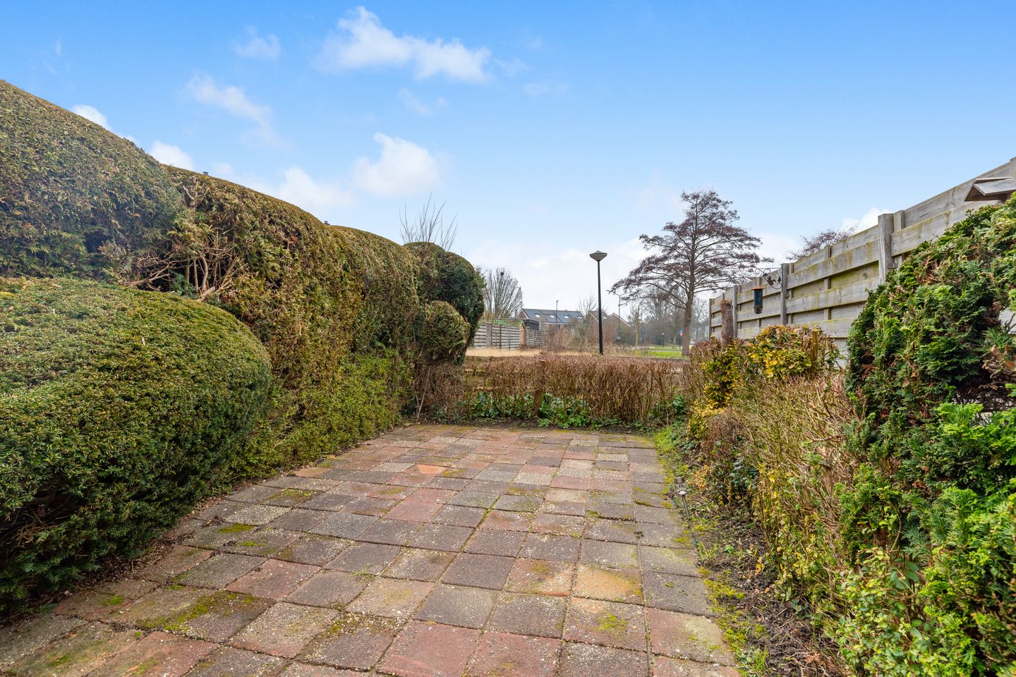 Photo 25 of Dinkel 13