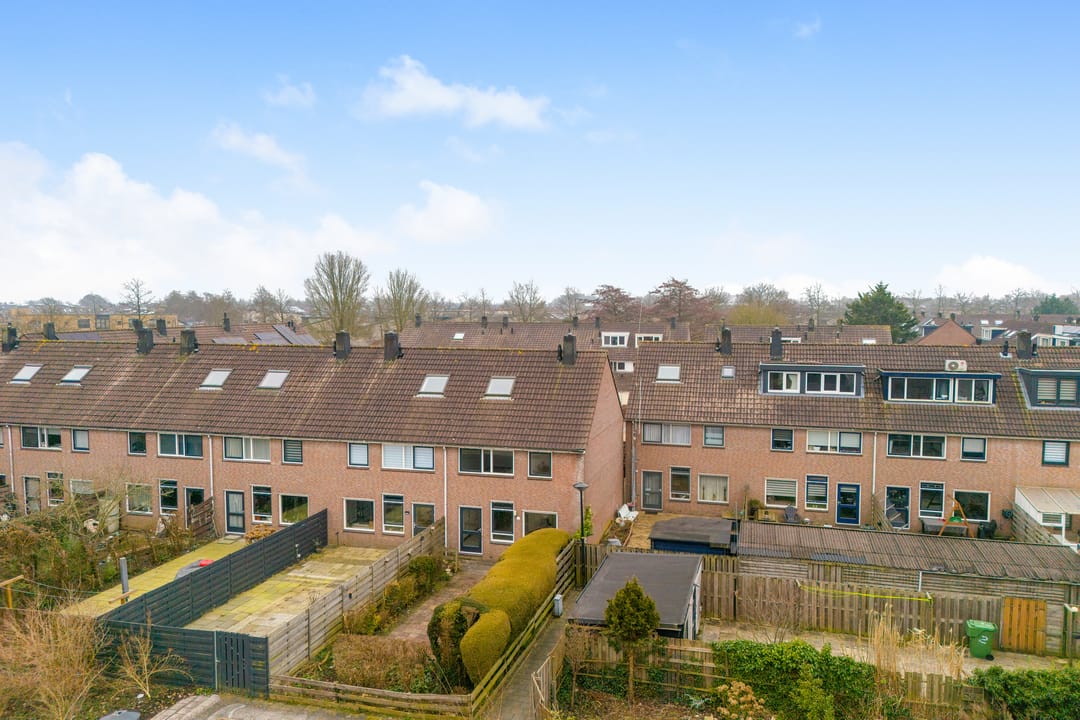 Photo 26 of Dinkel 13