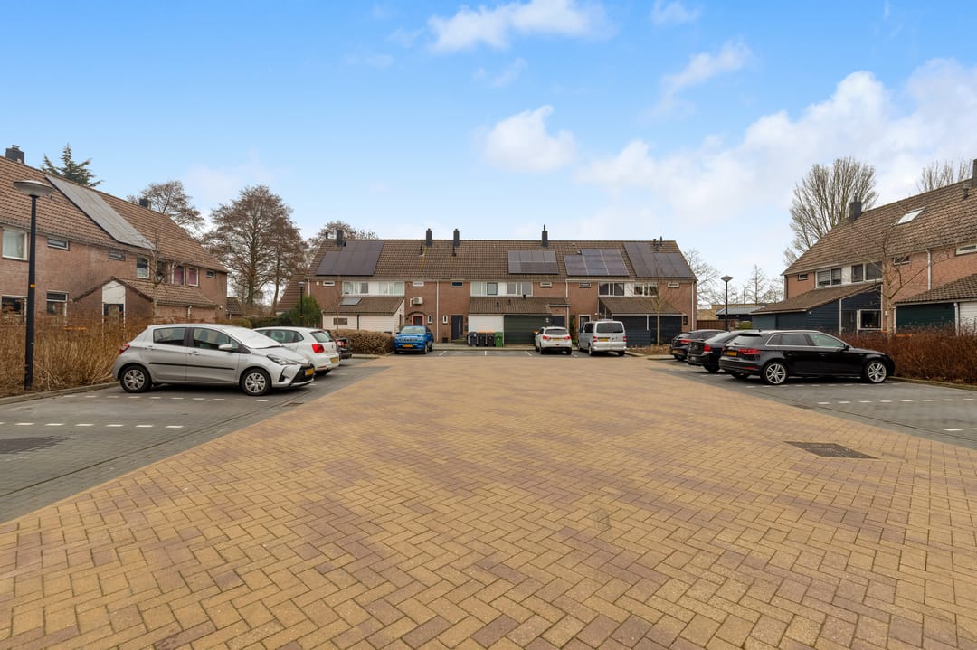 Photo 28 of Dinkel 13