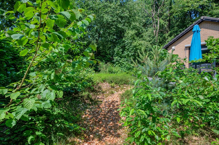 Foto 35 van Gasselterstraat 7-051