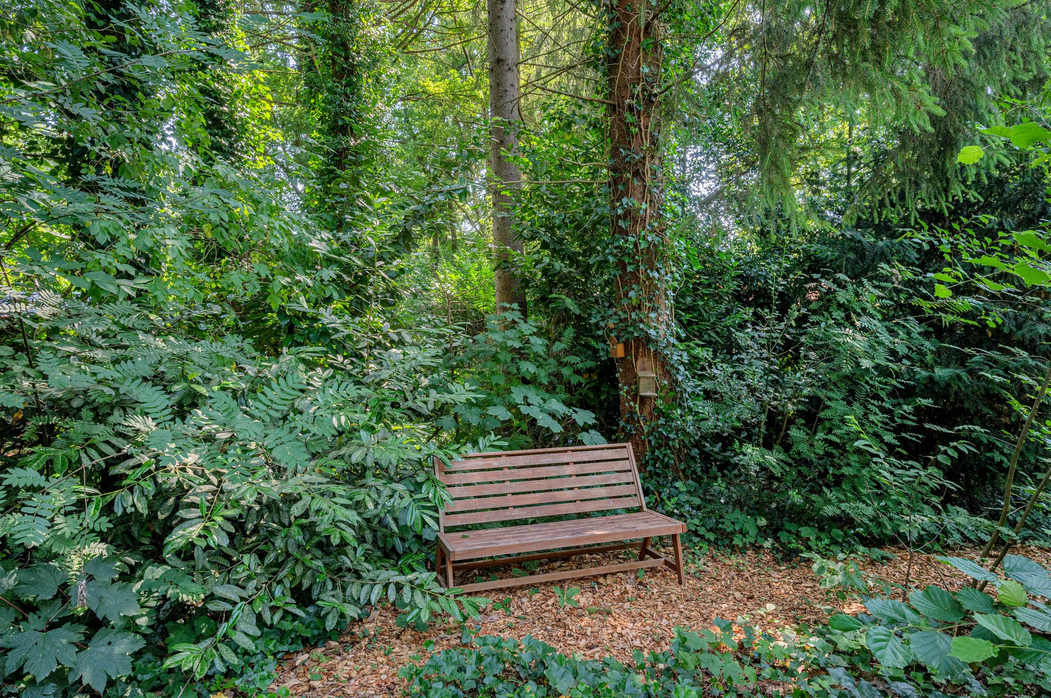 Foto 39 van Gasselterstraat 7-051