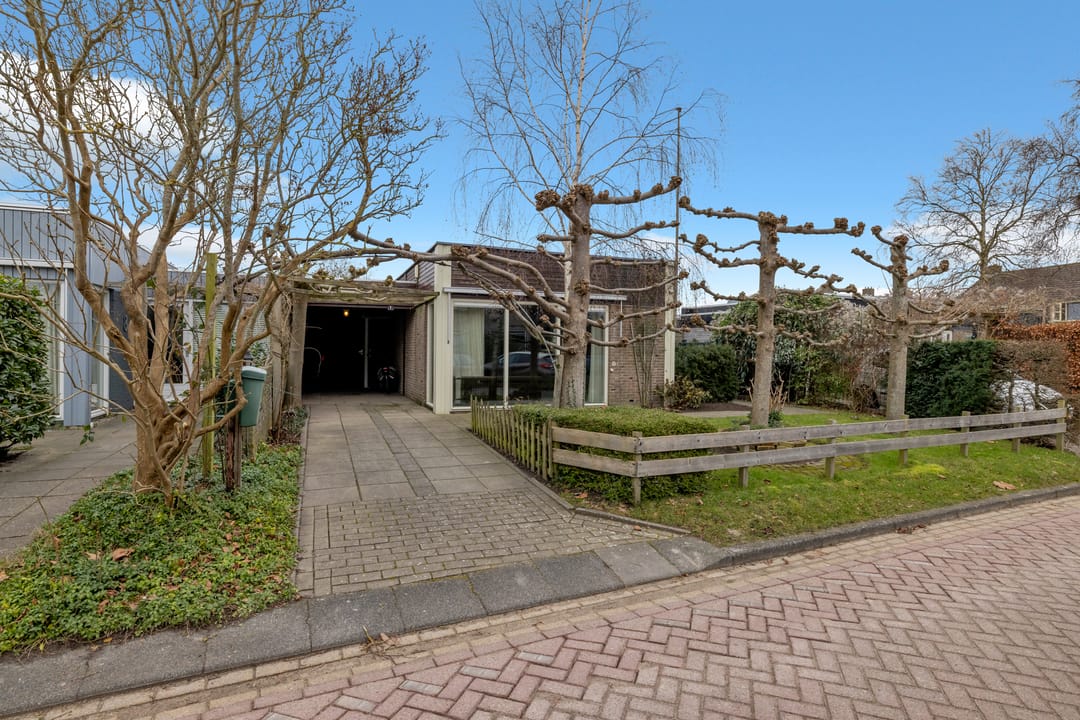 Foto 2 van Dokter de Boerstraat 6