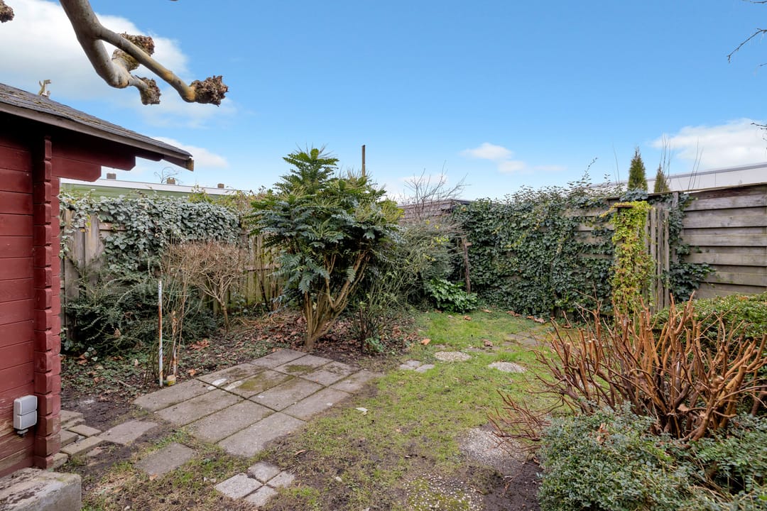 Foto 26 van Dokter de Boerstraat 6