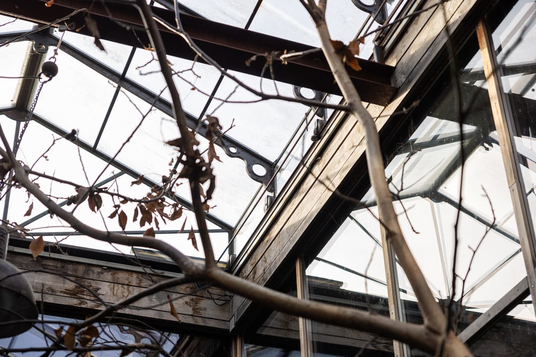 Foto 58 van Brandestraat 20