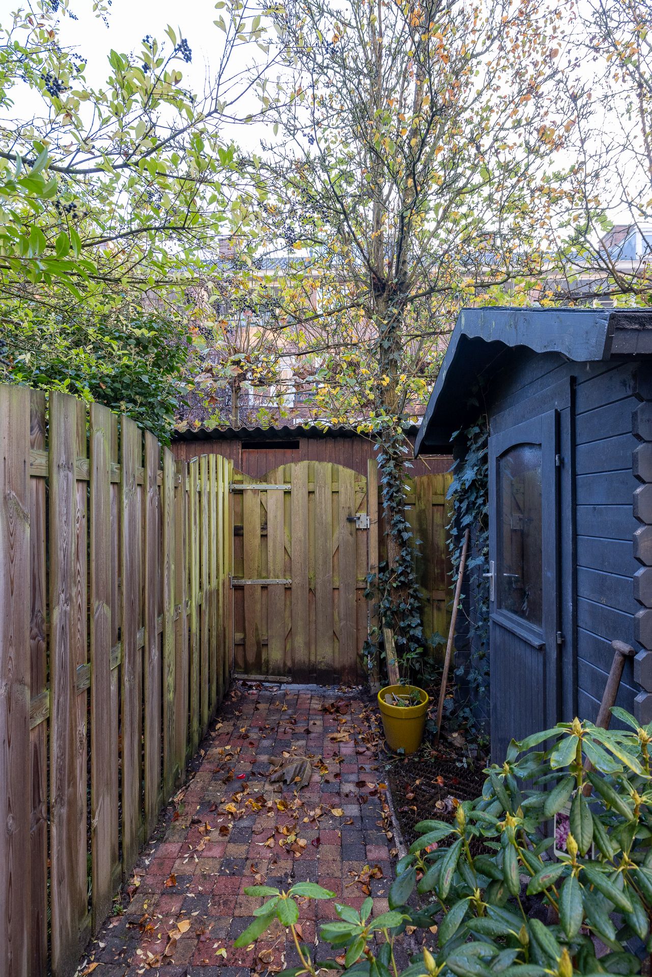 Foto 25 van Kortekade 45-B