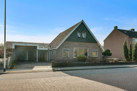 undefined main image