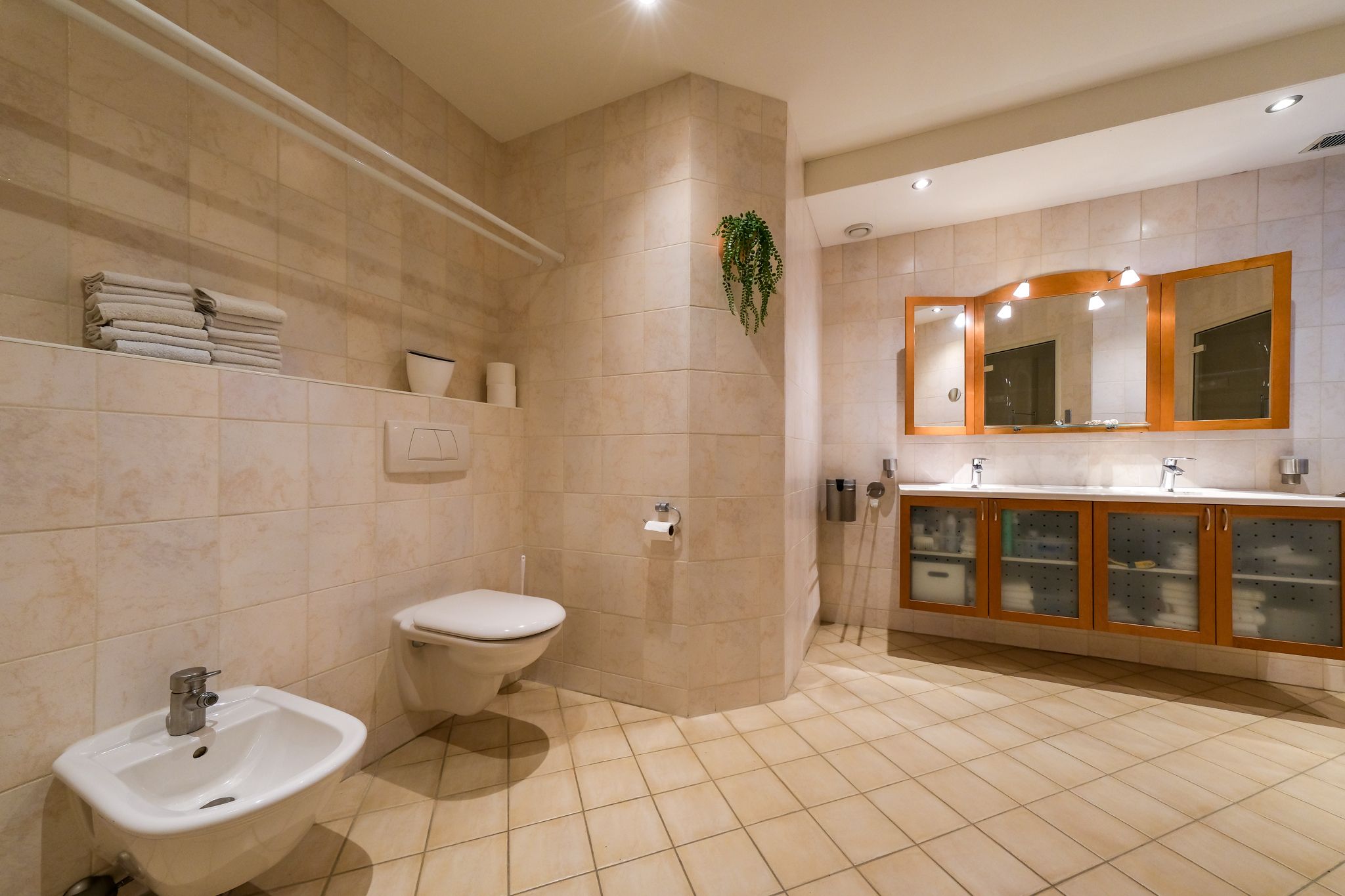 Foto 15 van Demmerik 46-A