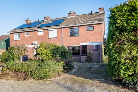 undefined main image