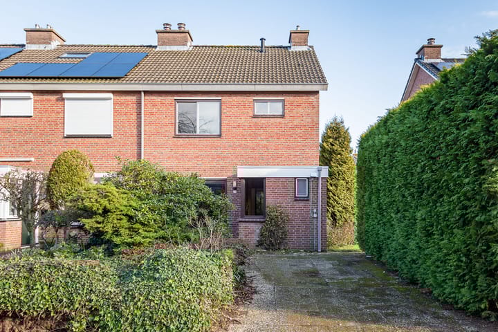 Photo 5 of Weegbree 16