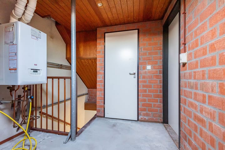 Photo 30 of Weegbree 16