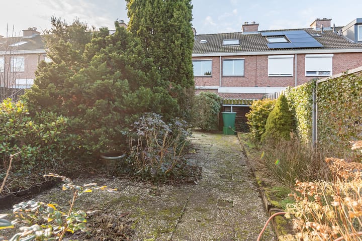 Photo 37 of Weegbree 16