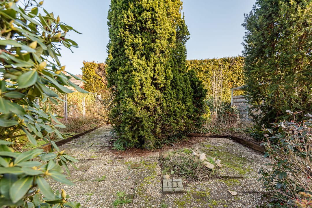 Foto 38 van Weegbree 16