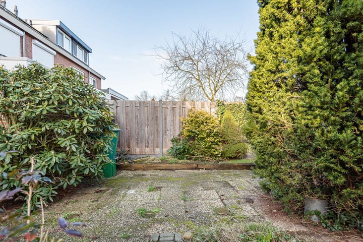 Photo 39 of Weegbree 16