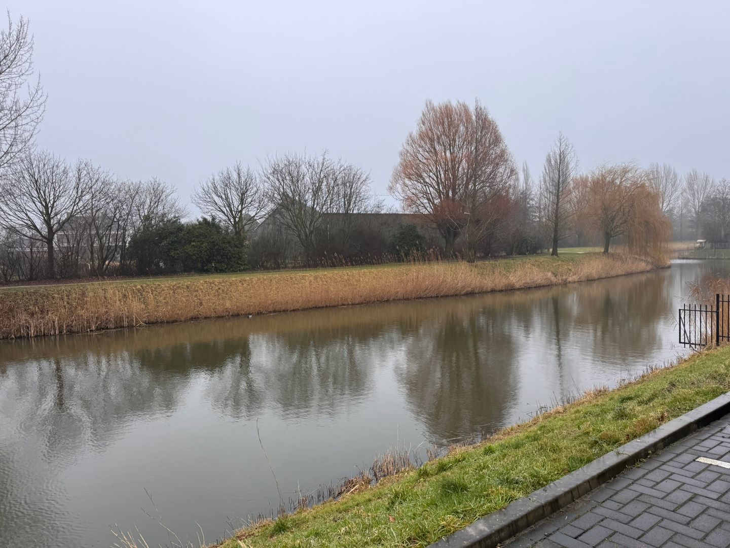 Bekijk foto 2 van Tomatenmarkt 44-B