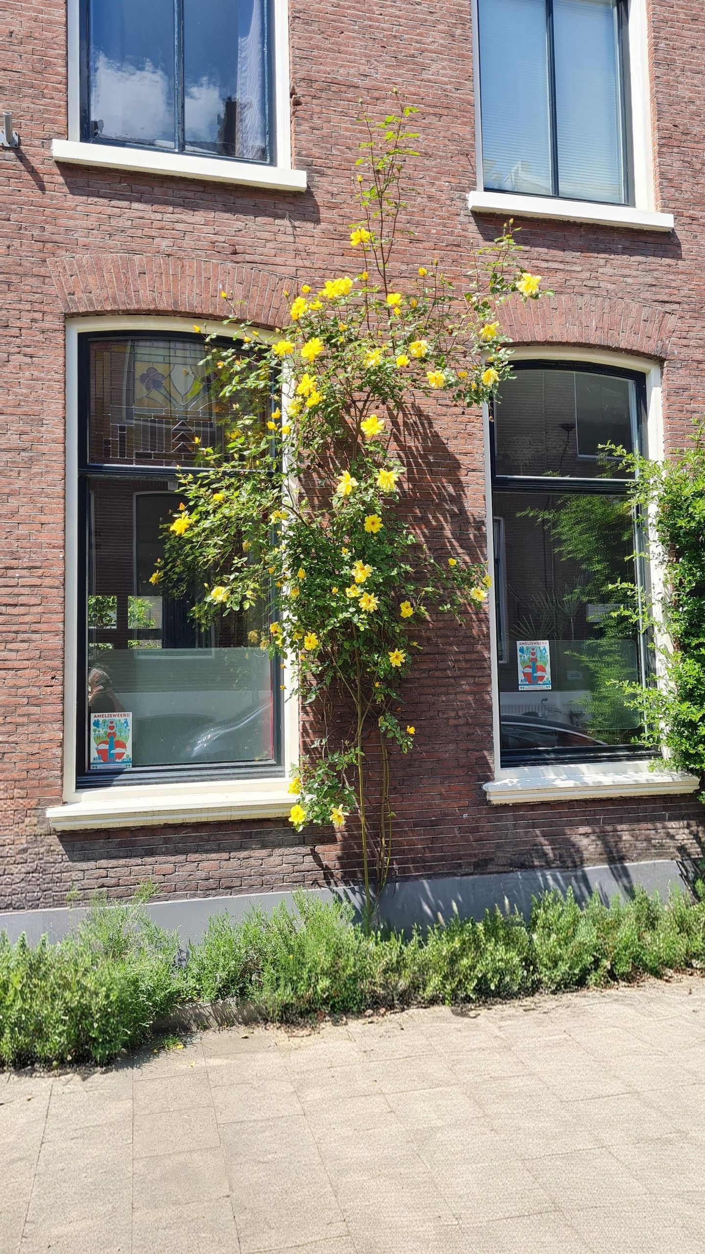 Photo 55 of Parkstraat 16