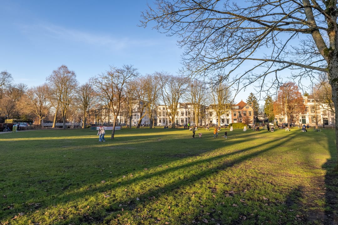 Photo 58 of Parkstraat 16