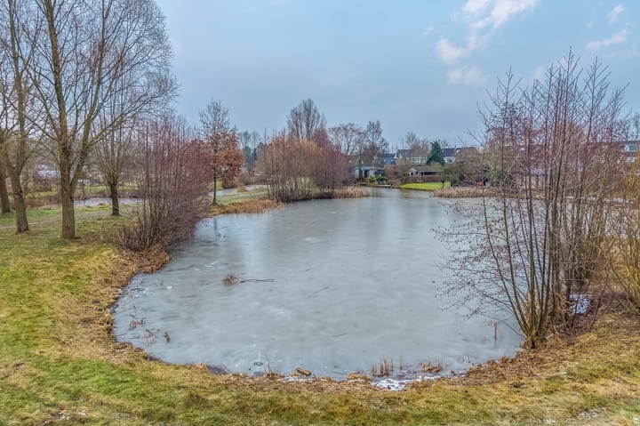 Foto 5 van de Hulst 27