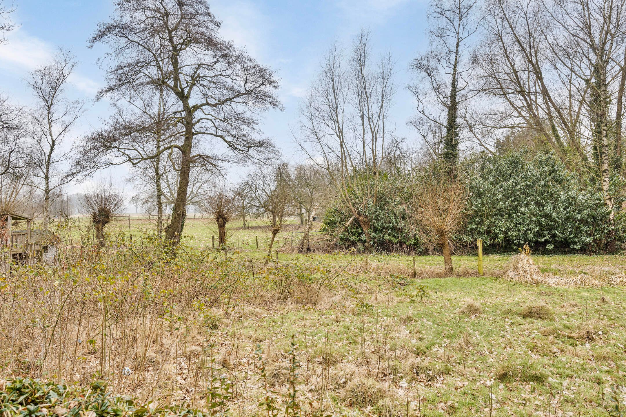 Foto 51 van De Reimer 15