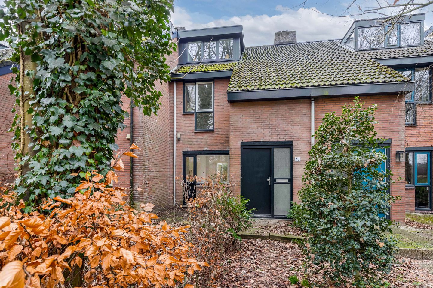 Foto 4 van Poolvos 47