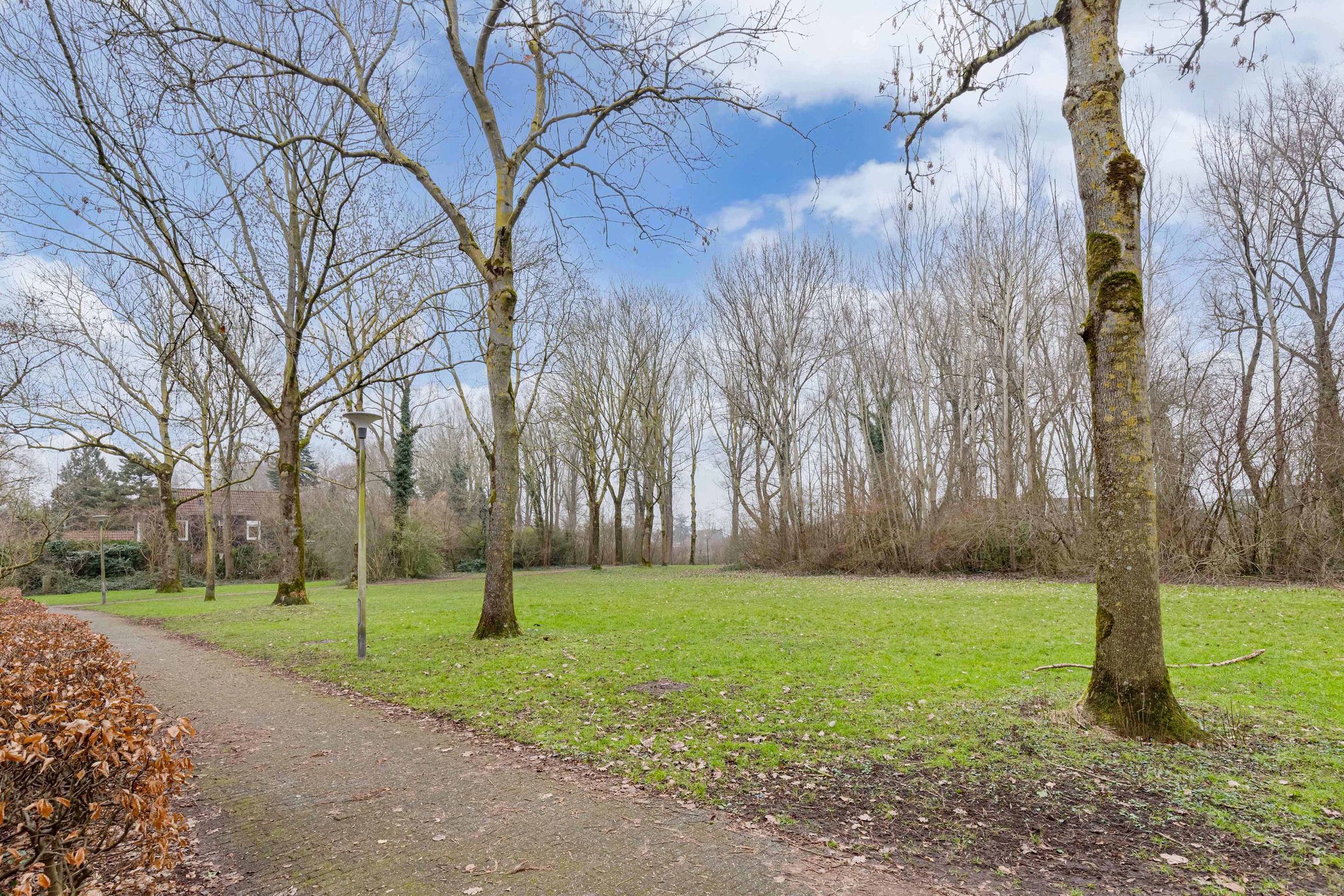 Foto 6 van Poolvos 47