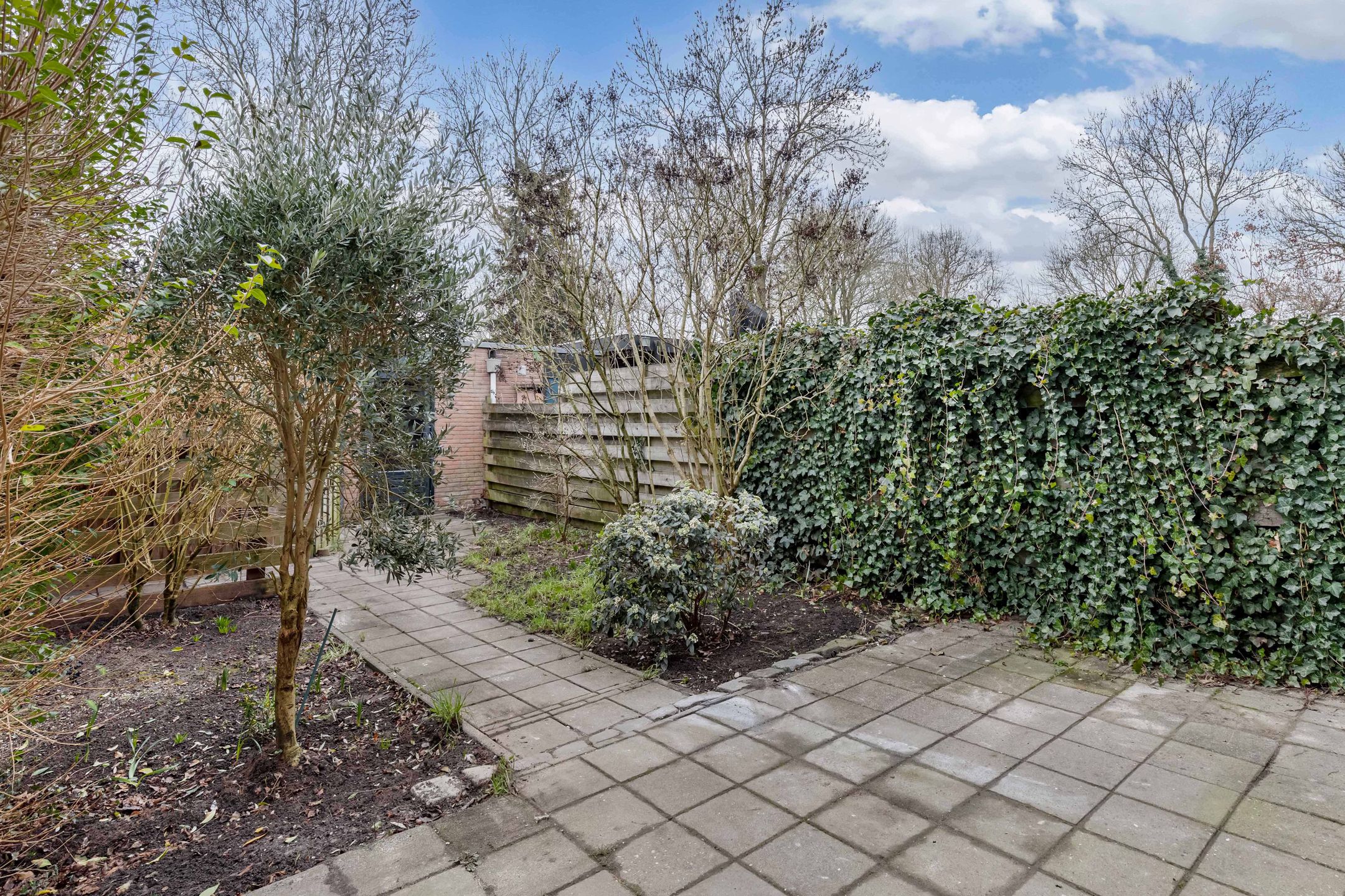 Foto 18 van Poolvos 47