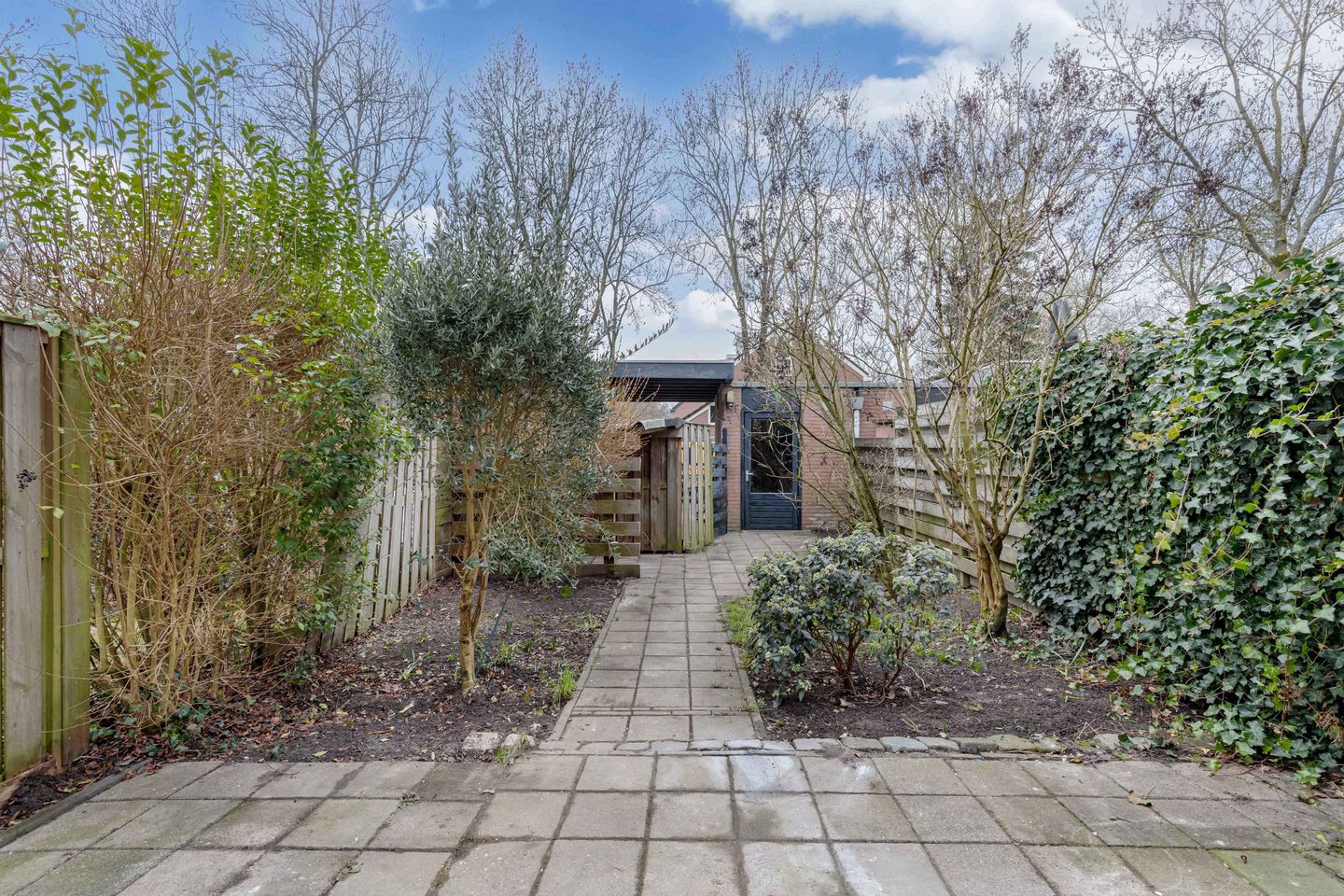 Foto 19 van Poolvos 47