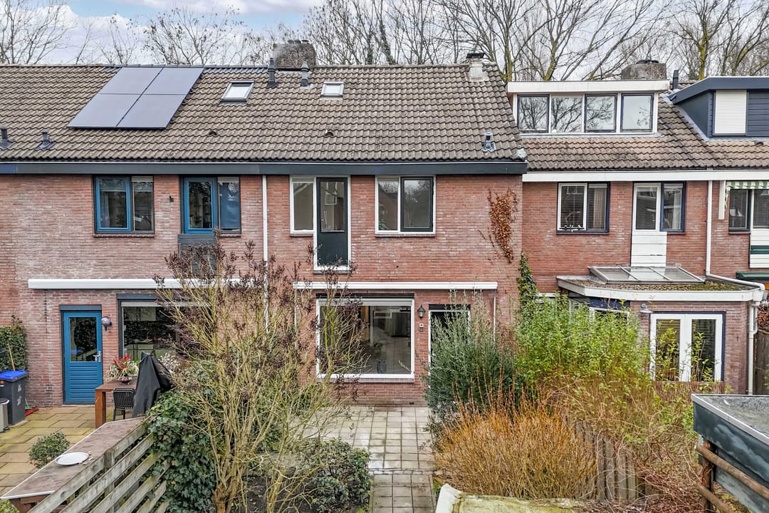 Foto 23 van Poolvos 47