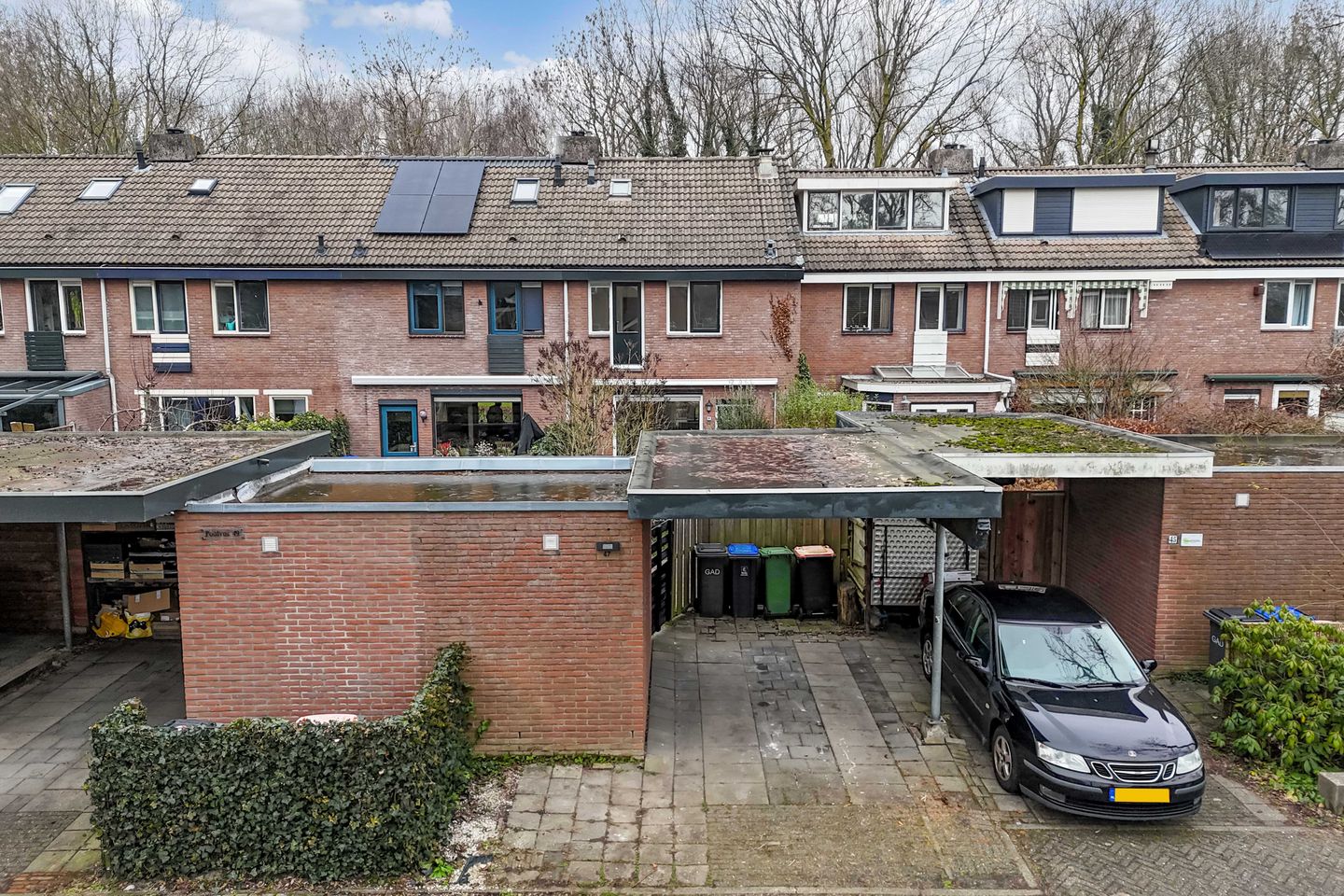 Foto 25 van Poolvos 47