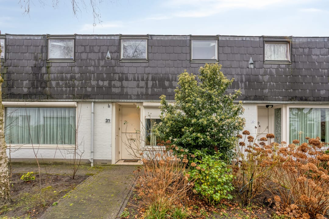 Foto 1 van Zandtong 31