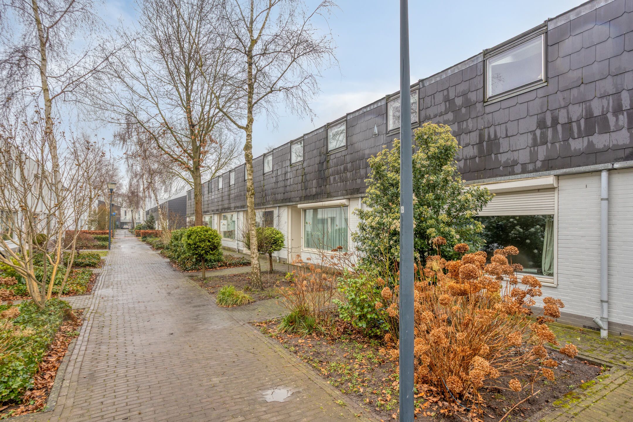 Foto 6 van Zandtong 31