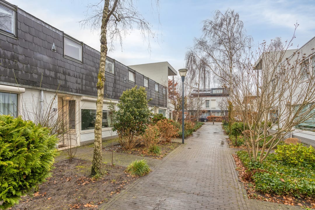 Foto 7 van Zandtong 31