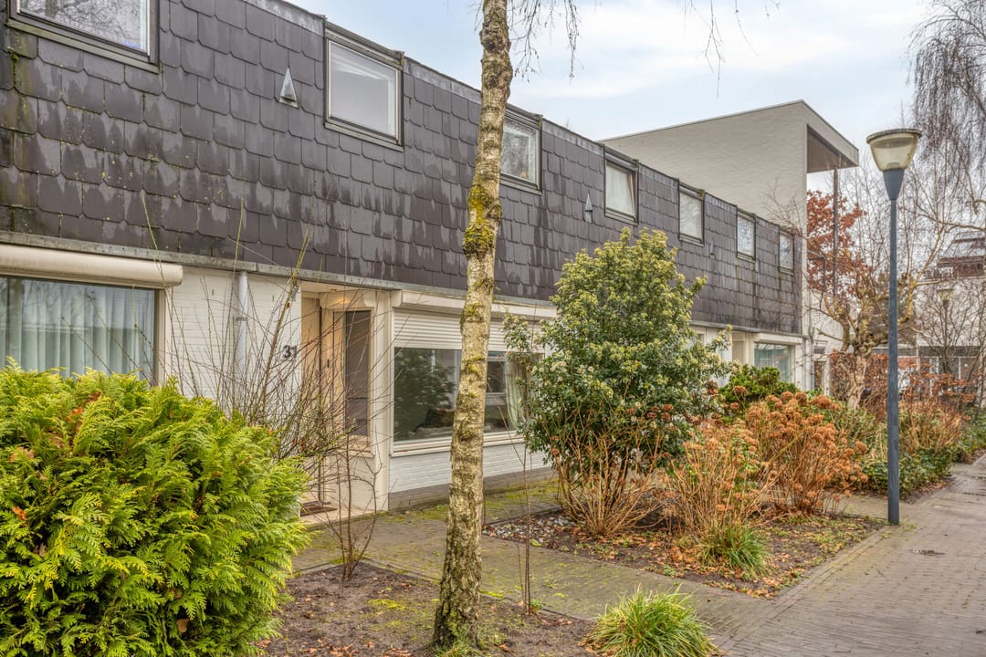 Foto 8 van Zandtong 31