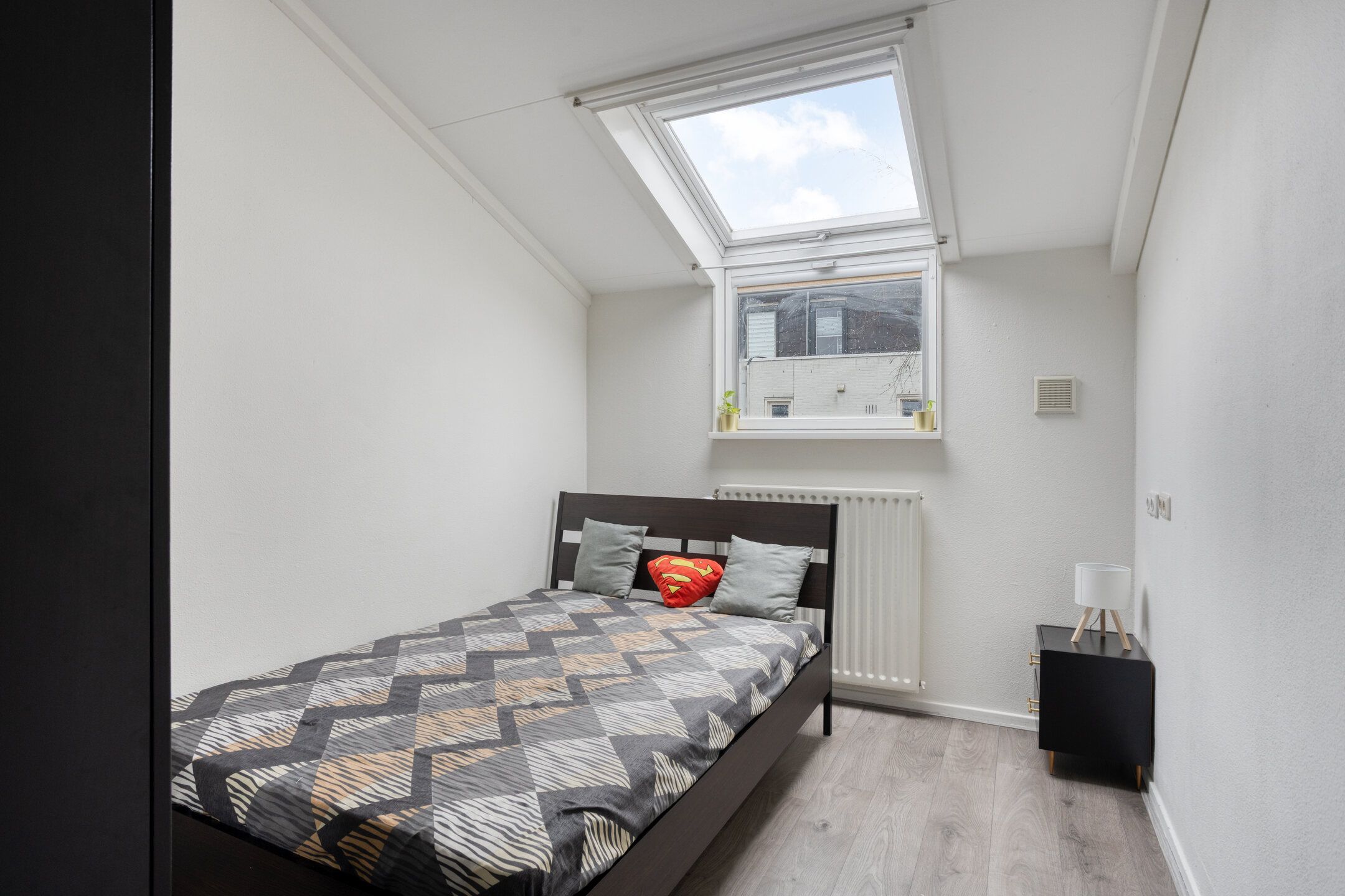 Foto 24 van Zandtong 31