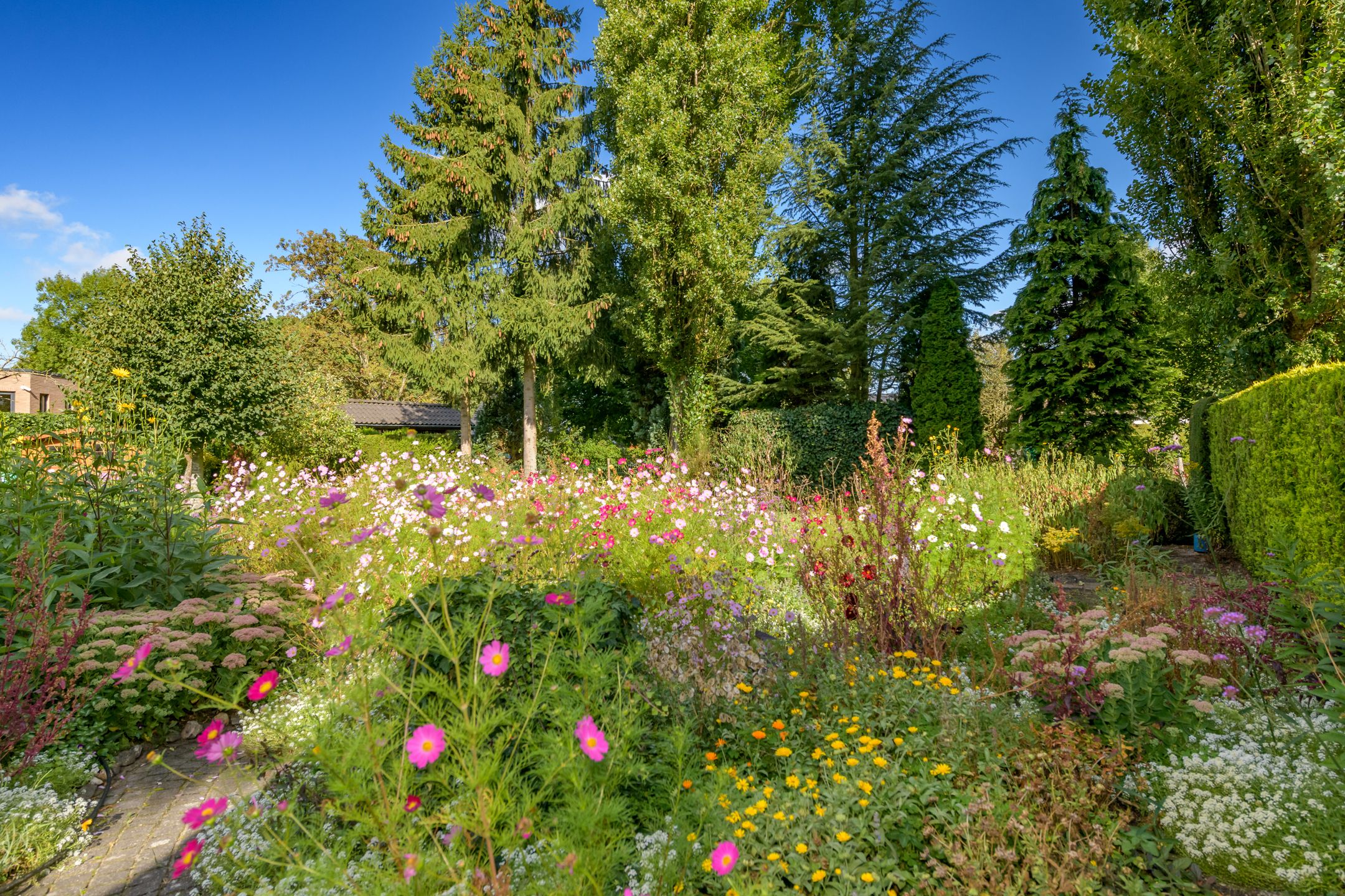 Foto 57 van Ruitersmolenweg 35