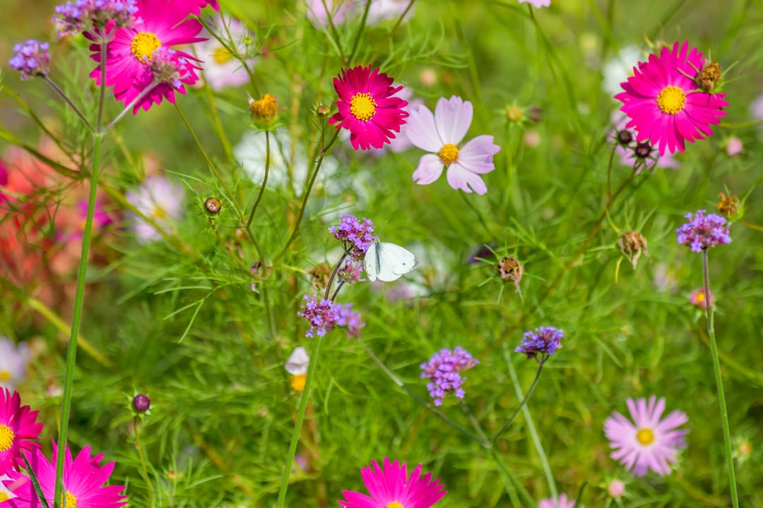 Foto 58 van Ruitersmolenweg 35