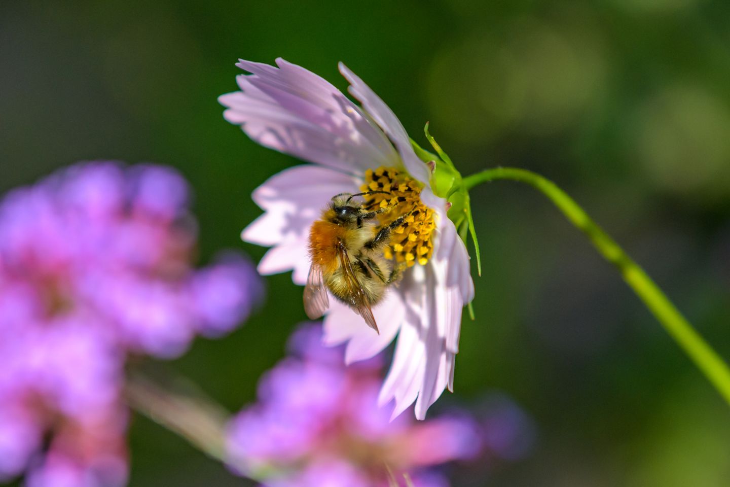 Foto 59 van Ruitersmolenweg 35