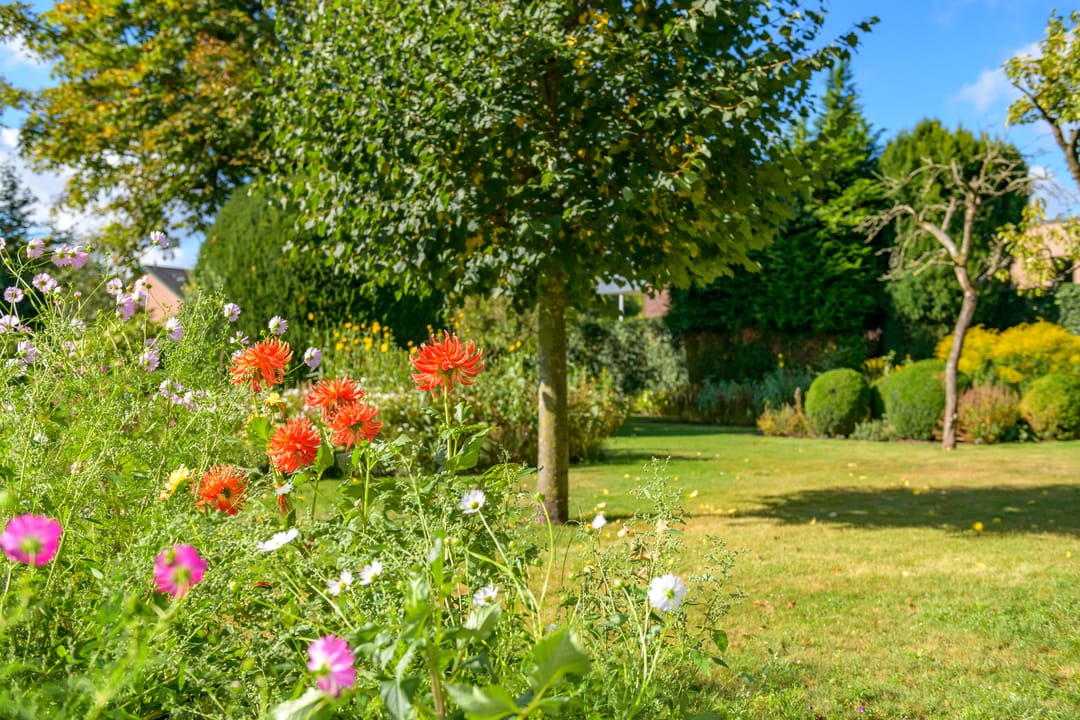 Foto 61 van Ruitersmolenweg 35