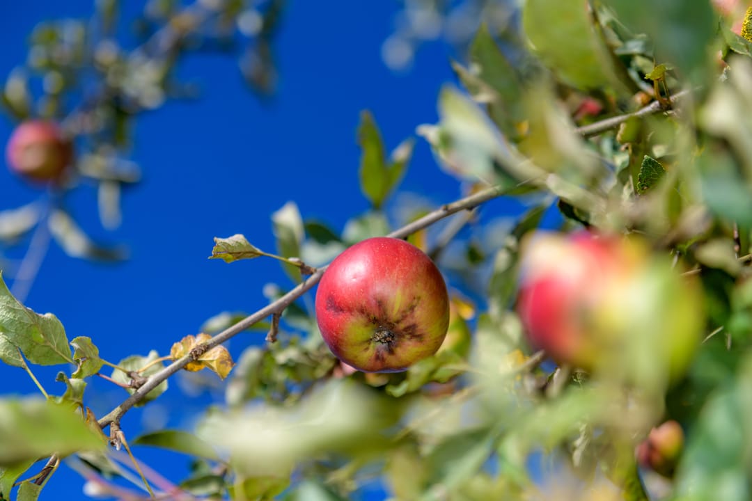 Foto 62 van Ruitersmolenweg 35