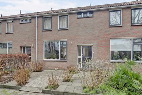 undefined main image