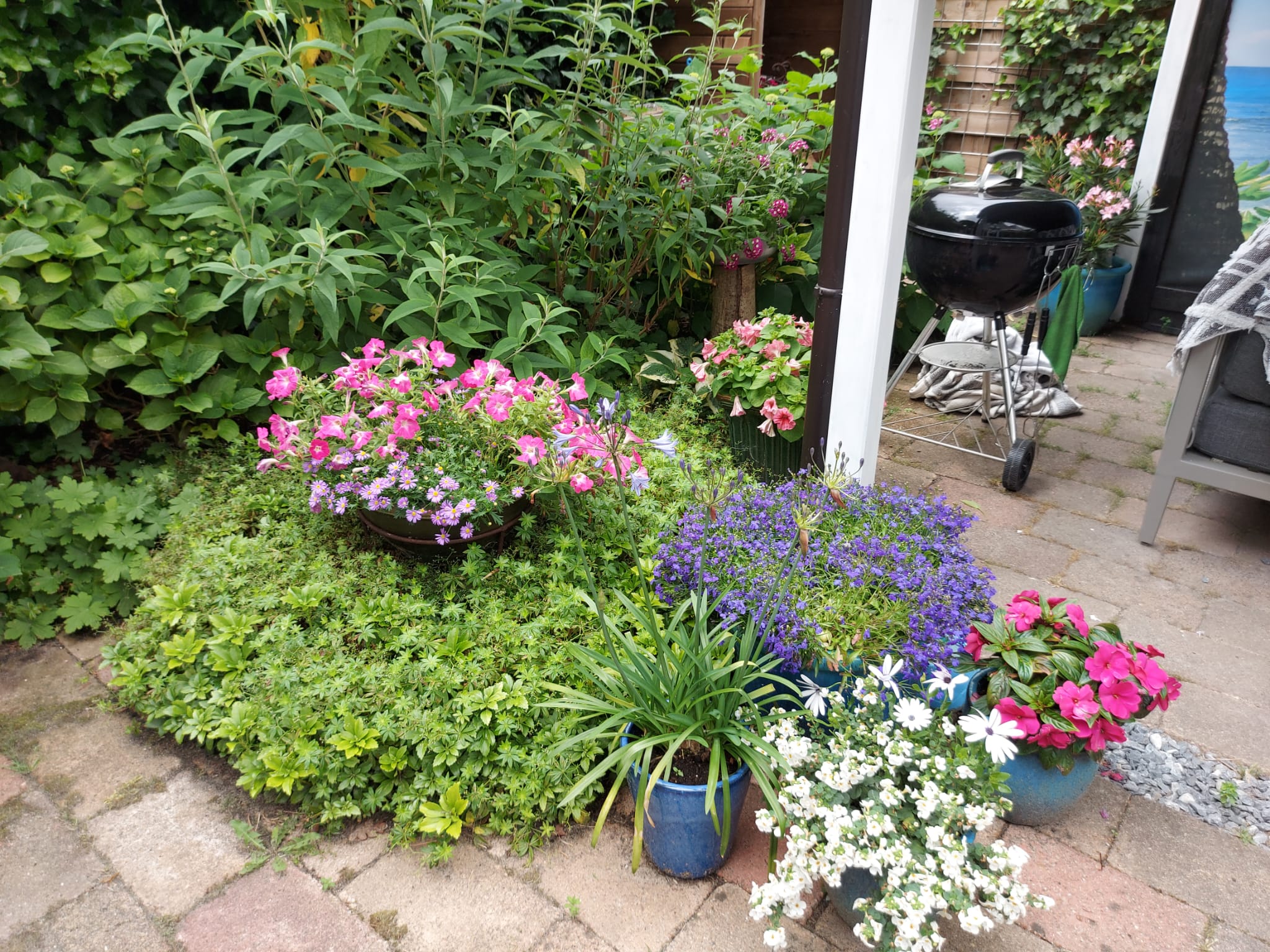 Foto 30 van Madernastraat 40