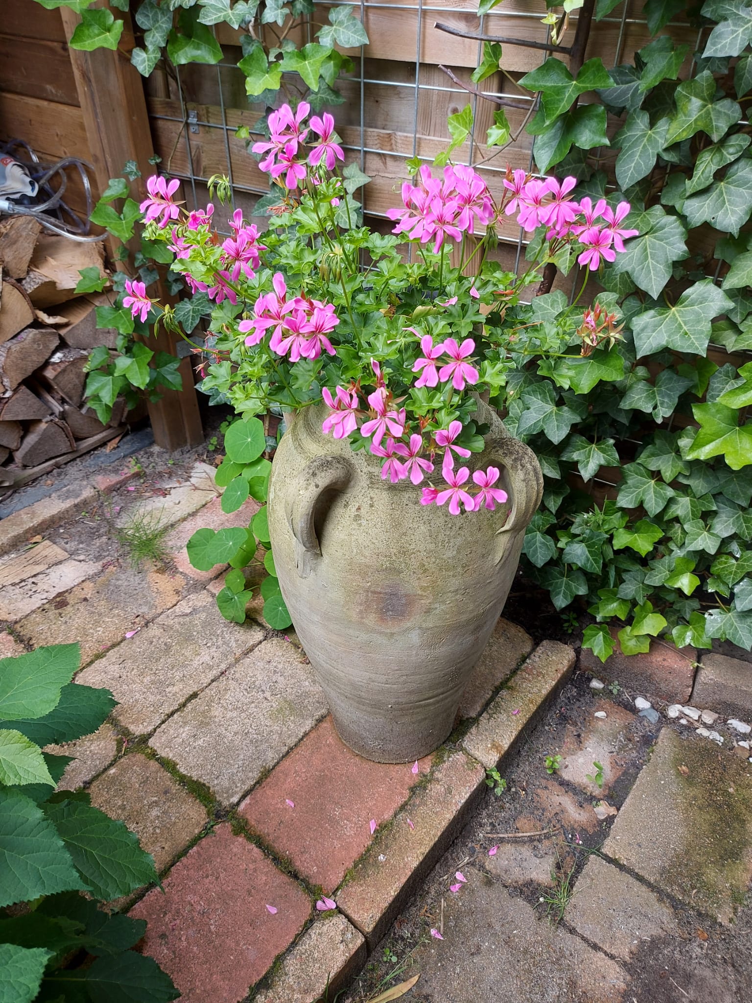 Foto 33 van Madernastraat 40