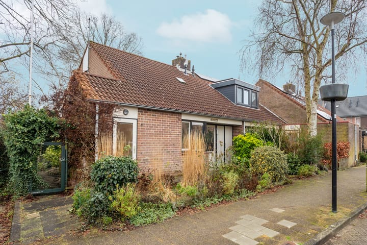 Foto 2 van Dorpszicht 1