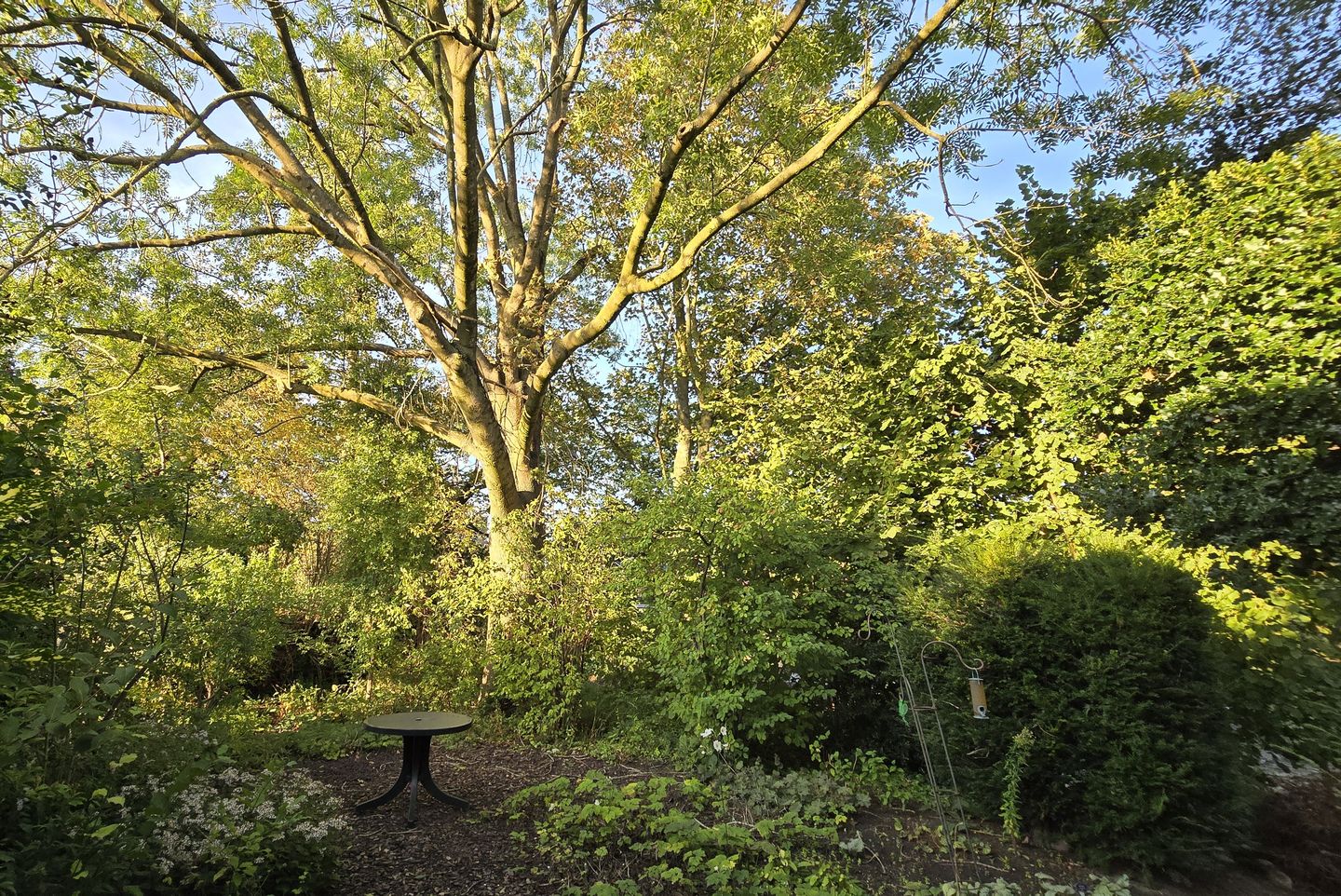 Photo 4 of Dorpszicht 1