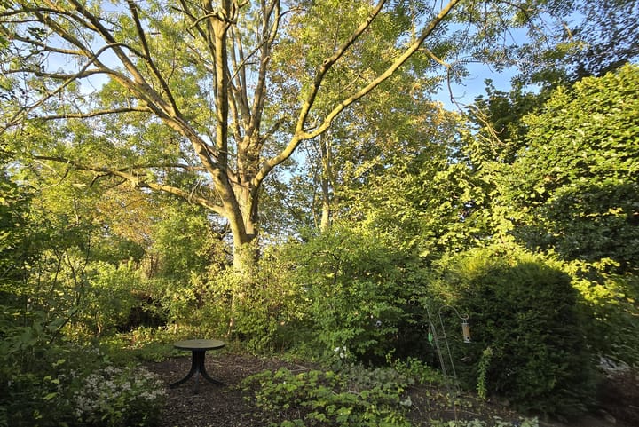 Foto 4 van Dorpszicht 1