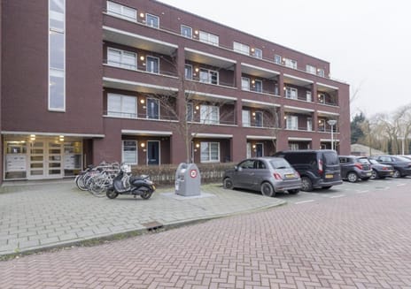 undefined main image