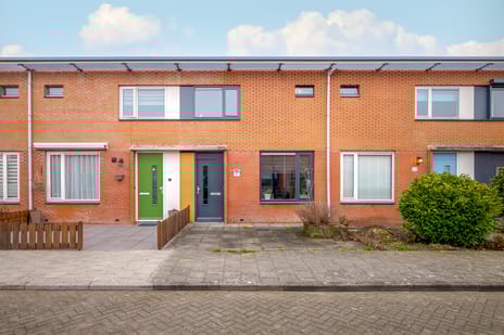 undefined main image